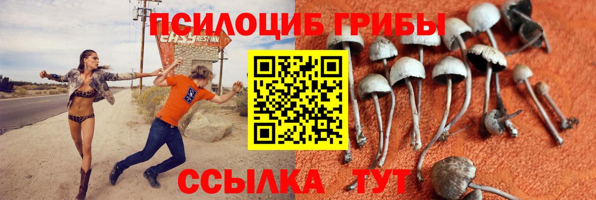 Галлюциногенные грибы ЛСД  Галлюциногенные грибы GOLDEN TEACHER  хочу наркоту  Нижнеудинск  Вход с VPN 